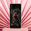 Phone Case For Samsung A56 A36 A26 A24 A16 A14 A12 A32 A50 A70 A20E A22 A40 A34 A54 A42 A52 5G A04s A06 Cover Rottweiler Dog