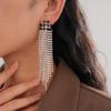 Zircon X Fringed Silver Needle Earrings Personalized Stud Earrings