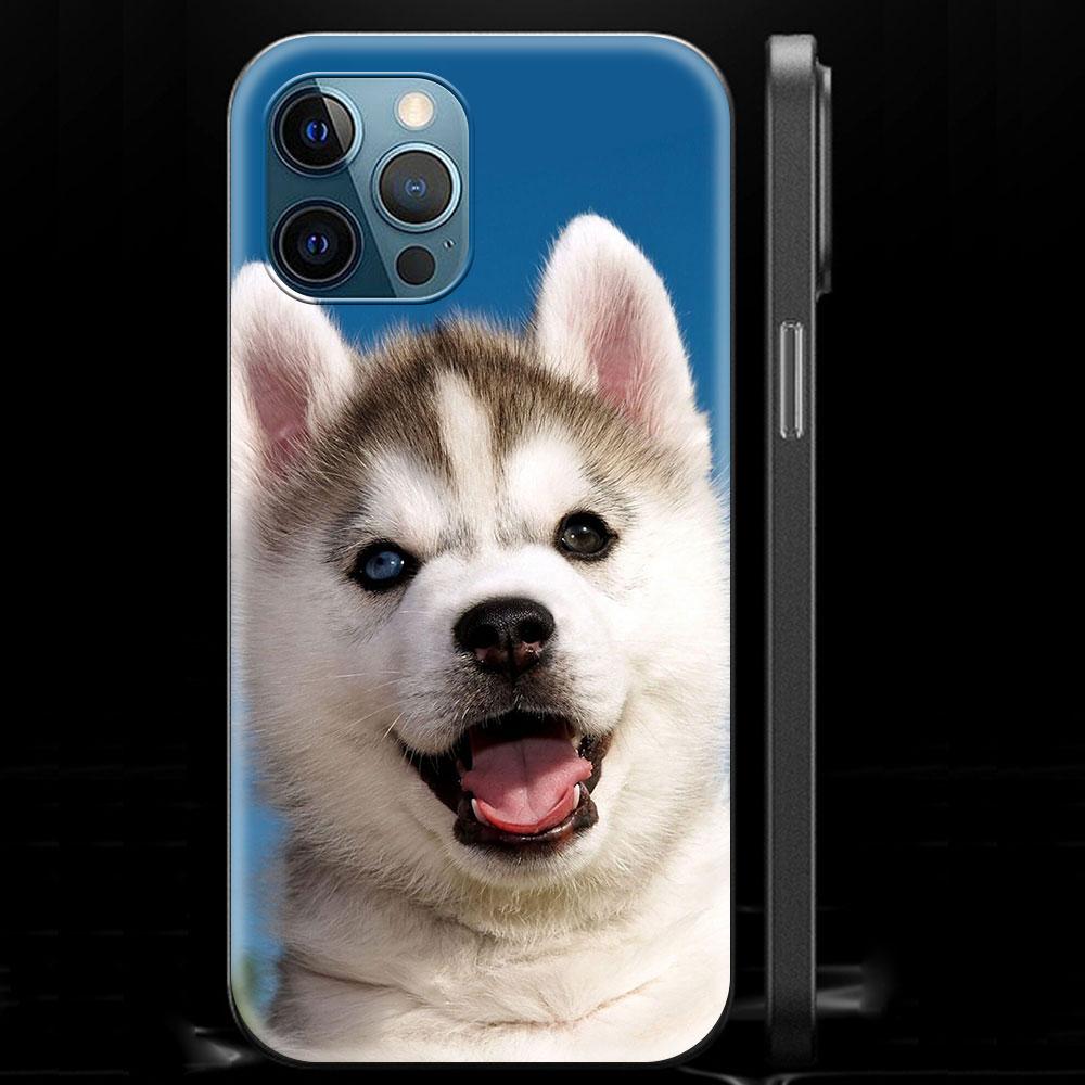 Alaskan Husky Dog Cute Puppy Luxury Phone Case For iPhone 13 15 14 12 11 Pro MAX XR X SE XS 7 8 Plus Silicone Black Matte Cover