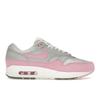 Air Max 1 '87 Metallic Platinum/Flat Pewter/Summit White/Pink Rise HF5387-001