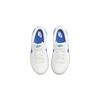 Nike Dunk Low PS 'Summit White Hyper Royal' Sneakers DH9756-105