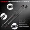 Rear Hatch Lift Supports Liftgate Struts Tailgate Shocks Trunk Gas Springs Replacement Parts Compatible with 4119 PM2001 SG430021 SG430024 for Chevy