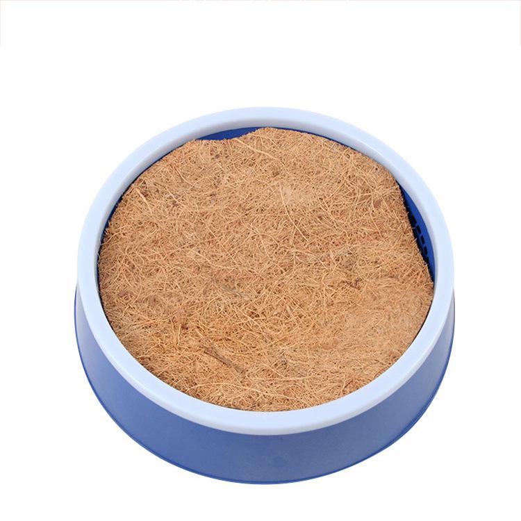 Brieftaube Eierlegen Nestschale Vogelzubehör