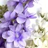 Realistic Silk Plastic Violets Bouquets Indoor Outdoor Party Decoration Home Event Floral Displays Wedding Centerpieces