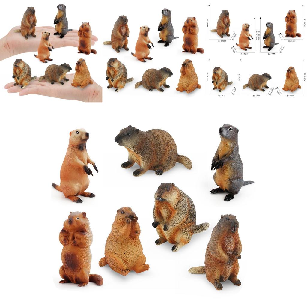 Entzückendes PVC-Murmeltier-Figuren-Set, perfekt für die lehrreiche Spielzeit von Kindern