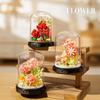 Creative Eternal Flower Mini Building Block Toys for Children DIY Blocks Brick Flowers Pot Cactus Rose Design Assembly Toy Gifts