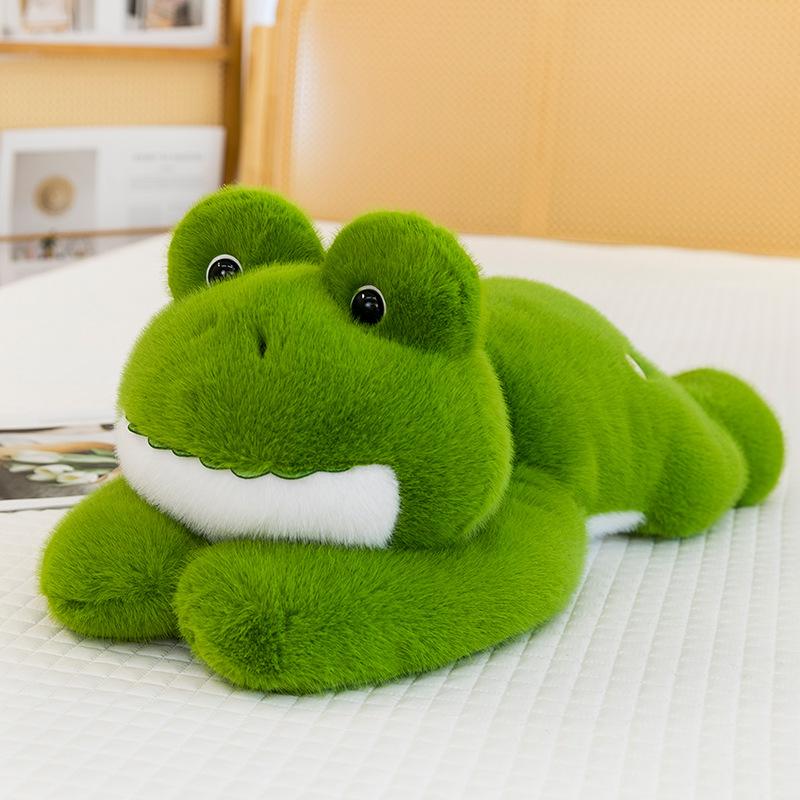 

Turtle West Frog Highland White Terrier Plush Toy Stuffed Animal Doll Gift Kids Frog,30cm