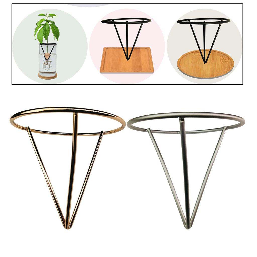 Avocado Growing Triangle Bracket Versatile Gardening Enthusiast Gift Avocado Tree Growing Stand for Garden Home Living Room