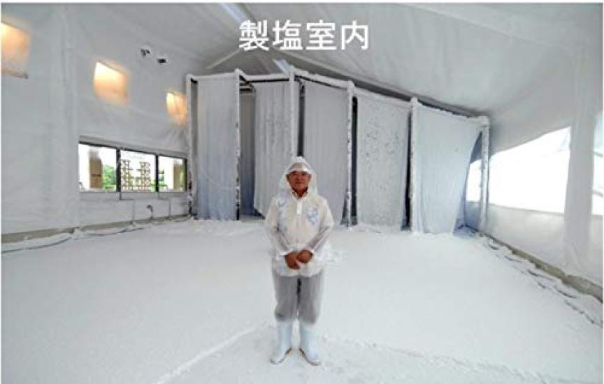 Okinawa Sea Salt Nuchimas Powder Type 250g (4 pieces)