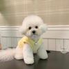 Pet Autumn And Winter Clothing Dog Vest Cat Teddy Bichon Pomeranian Small Puppy Poodle Schnauzer Clothes