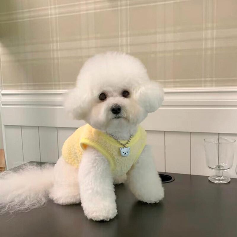 Pet Autumn And Winter Clothing Dog Vest Cat Teddy Bichon Pomeranian Small Puppy Poodle Schnauzer Clothes