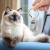Cat Hair Storage Pendant Pet Memorial Keepsake Lightweight Cat Hair Storage Keychain Pendant Charm for Wallet Purse Backpack Bag
