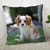 Spaniel Animal Pillowcase  Modern Home Living Room Decoration