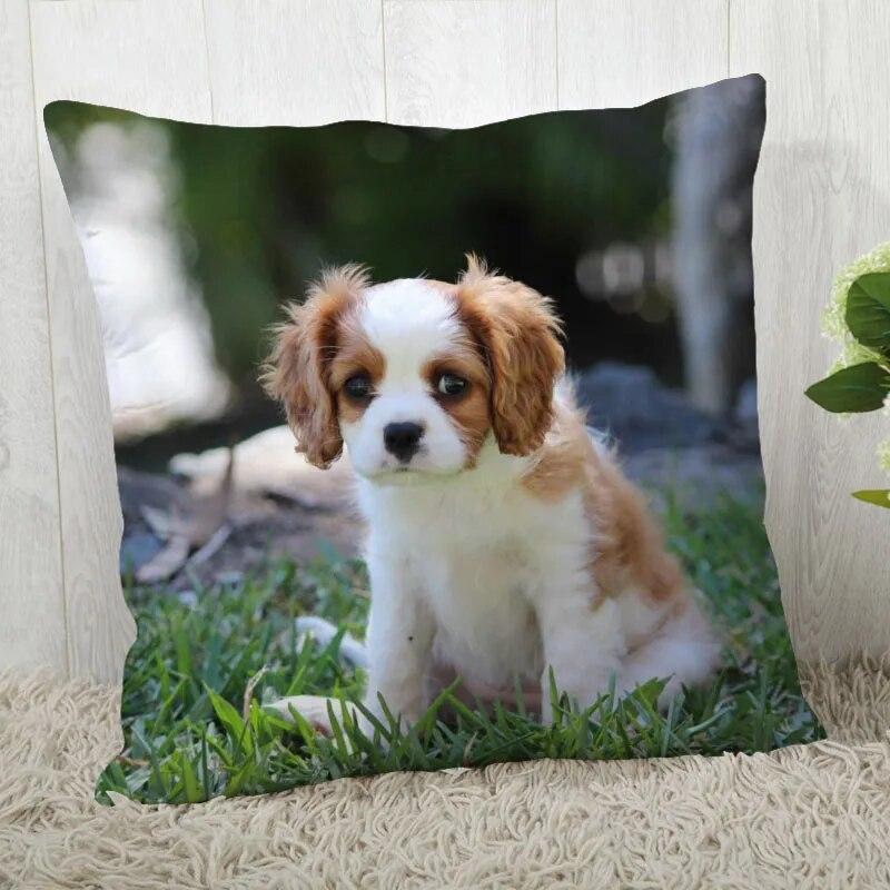 Spaniel Animal Pillowcase Modern Home Living Room Decoration