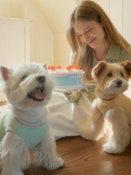 

CROOKTHECHIHUAHUA Daily Waffle T-shirt (3color) Icy Blue