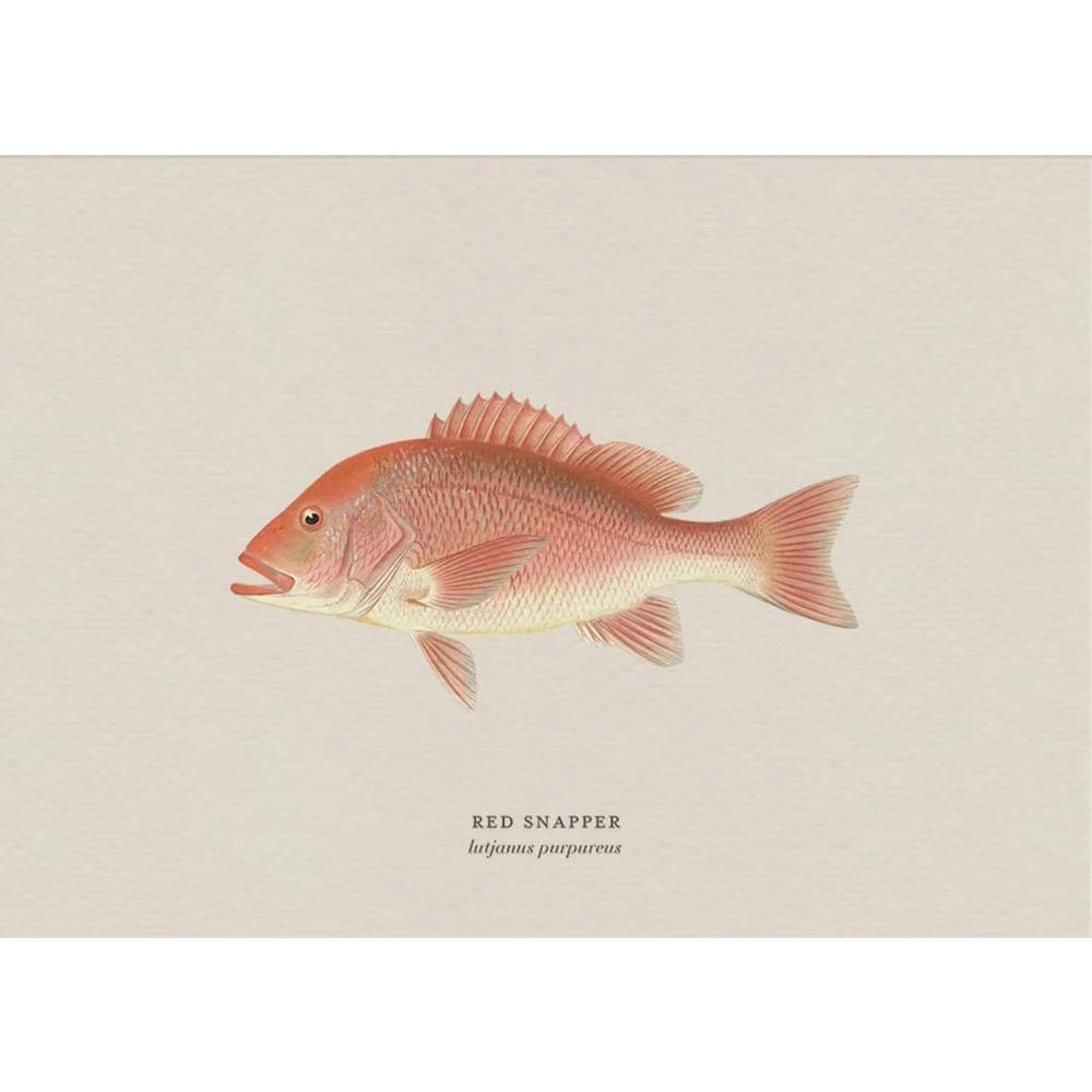 Vintage Bass Fish Trout Fly Fishing Posters Prints Canvas Painting Fisherman Retro Wall Art Picture for Living Room Home Decor