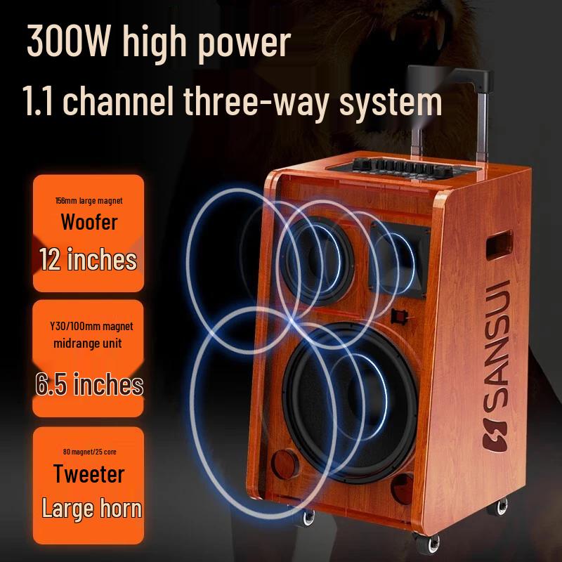 SANSUI G12 Outdoor Portable Karaoke Speaker