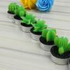 Lovely Fleshy Potted Plants Fruit Scented Candles Creative Home Decor
