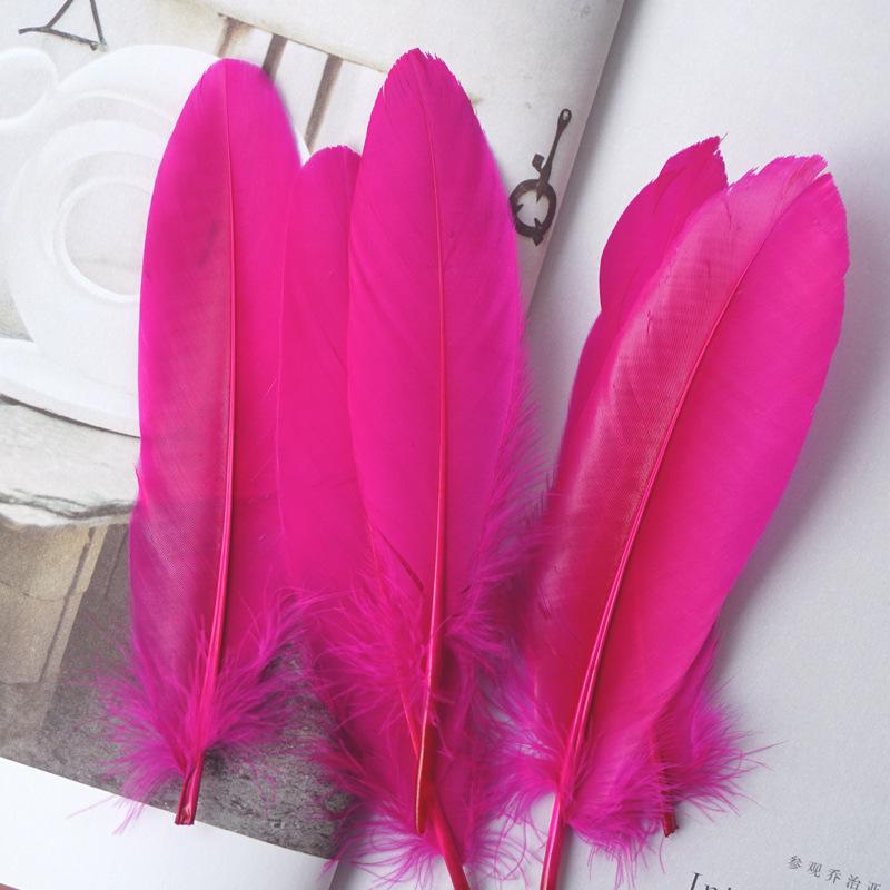 50Pcs White Feather Goose Feather Hard Floating Dream Net Decorative Wings Sun Flower Wall Decoration Kindergarten Handmade Art Class Materials