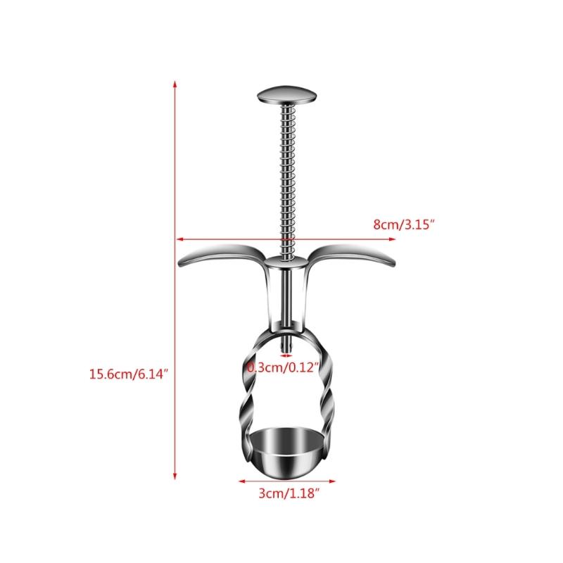 Praktisches Werkzeug Entferner Fruchtkernentferner Fruchthilfsmittel Material aus Edelstahl Küche Kirschenentkerner für Obst