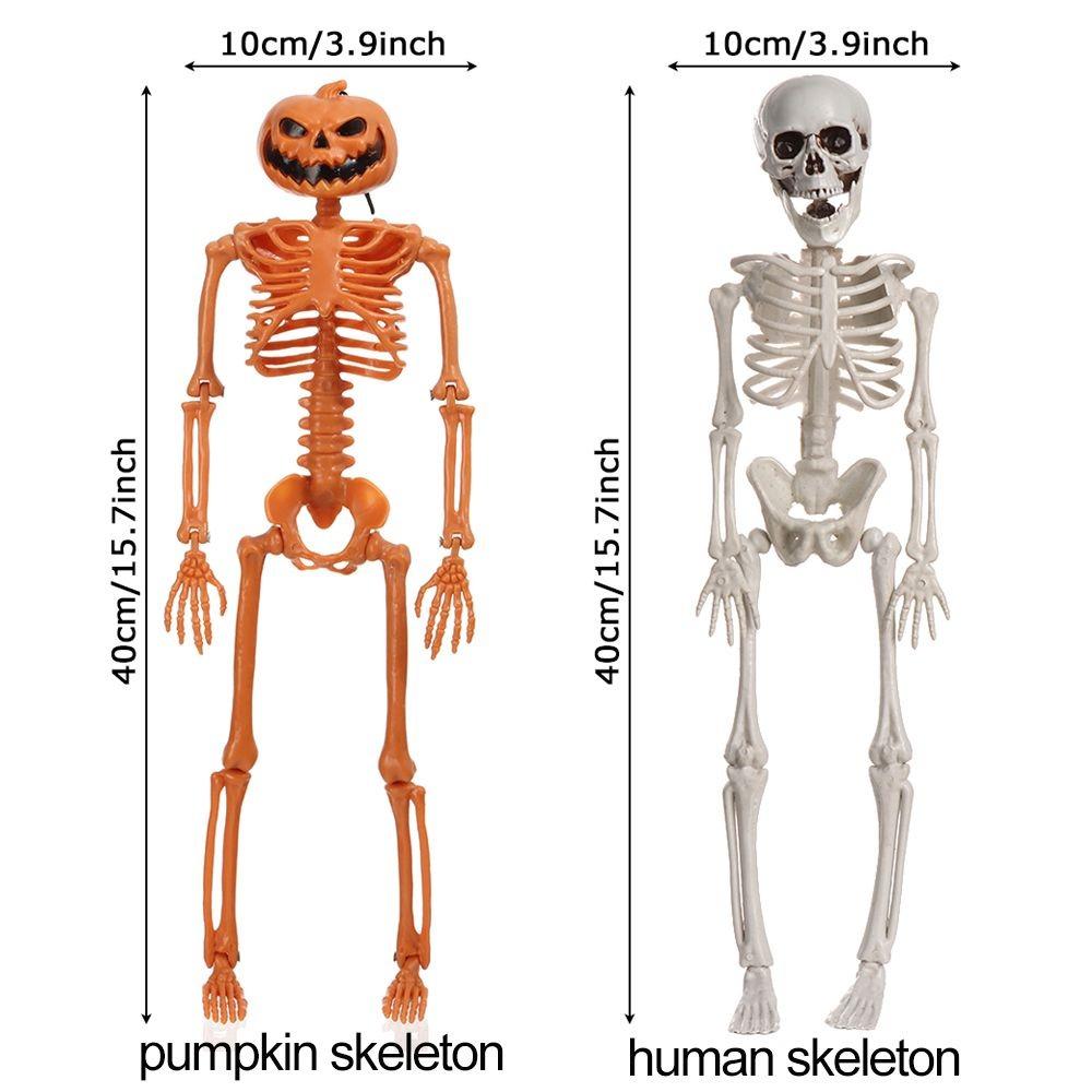 White Orange Pumpkin Skull 40CM Body Figurine Creative Bone Model Outdoor Indoor