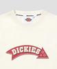 Dickies חולצת קרופ Arrow Egrets