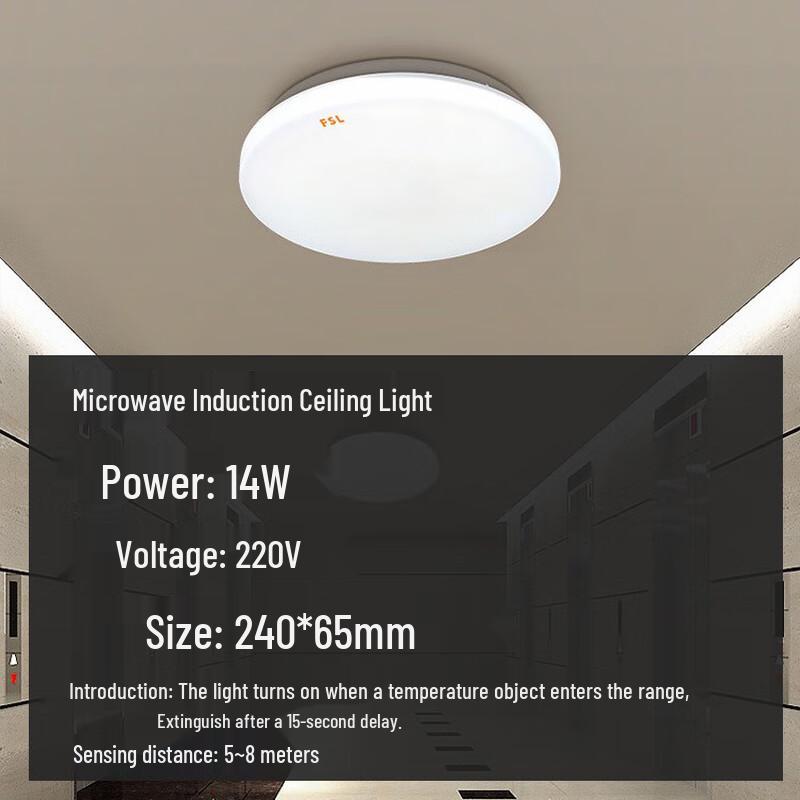 Abdo Ceiling Light