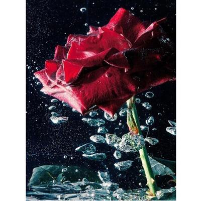 Pittura diamante 5D Fiore rosa Ricamo punto croce diamante