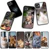 Blue Cat Green Eyes Meow for Samsung Galaxy A25 A37 A57 A12 A14 A31 A41 A50 A51 A70 A71 A72 A21S A04 M15 Note 20 9 8 10 Case