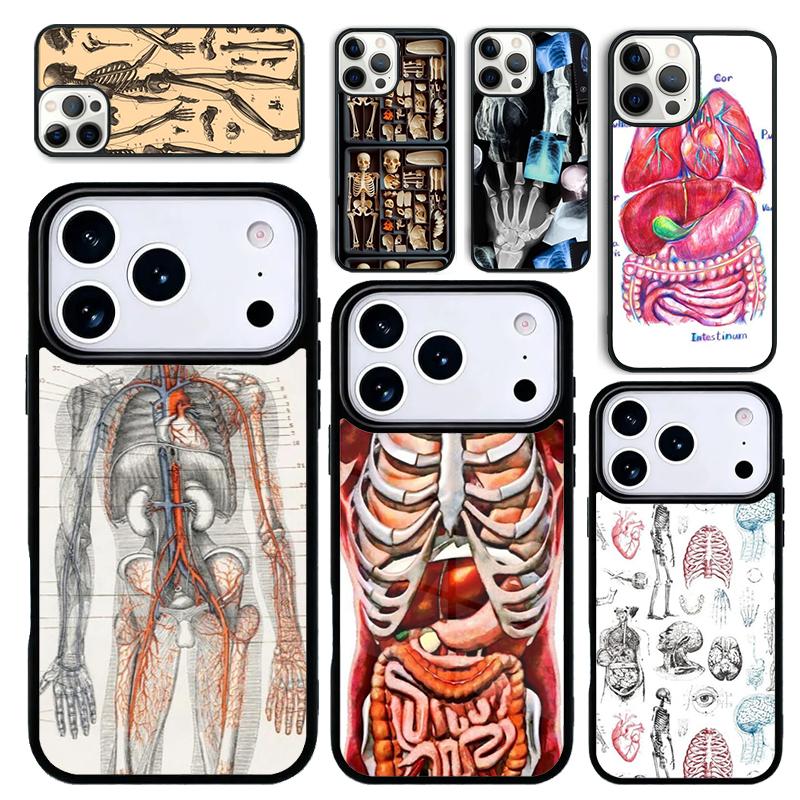 Capa Case for iPhone 17 Air 16 Pro Max 15 Plus 11 13 Mini 14 12 Back Phone Cover Radiological Human Organs Skeleton
