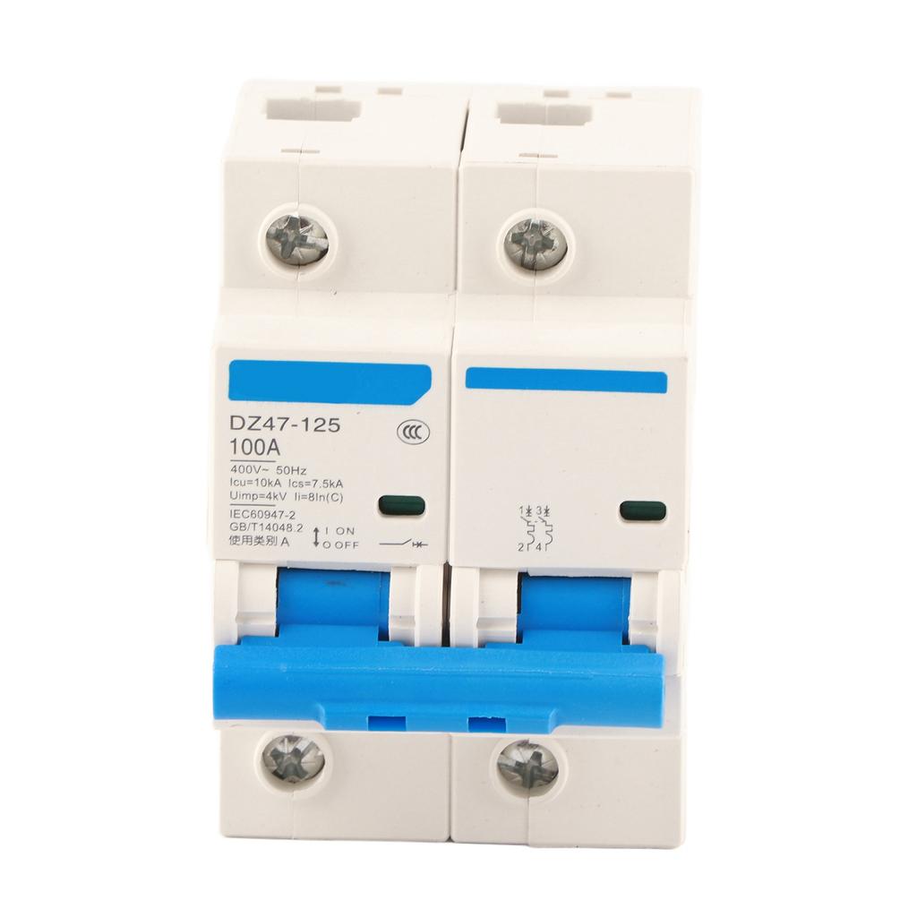 Interruptor de protección contra fugas 400V 80100125A DZ47?125 2P? Disyuntor miniatura de corriente(100A)