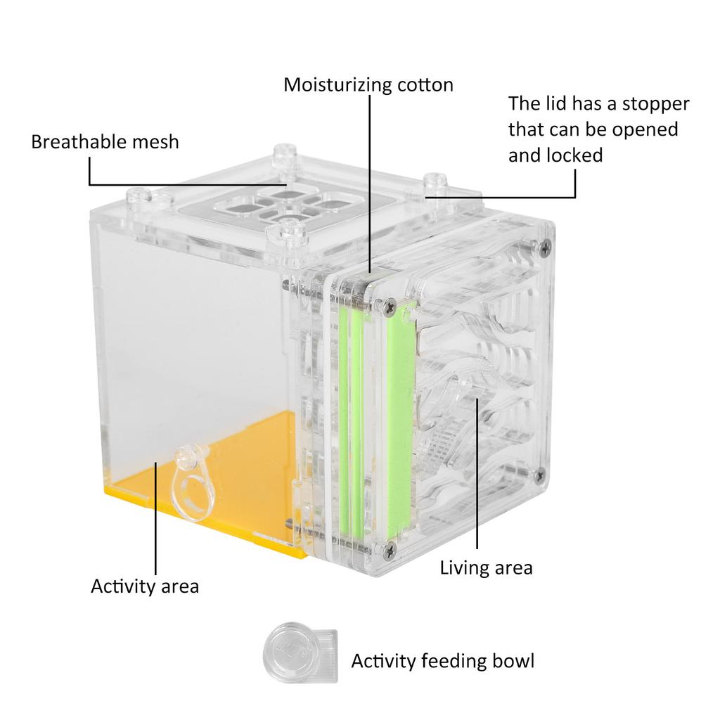 Buy Acrylic Ant Watching Breeding Box Moisturizing Feeding Case Ants ...