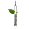 Wall Hanging Test Tube Vases Thickened Glass Vase Gardening Supplies Hanging Glass Planter  Garden