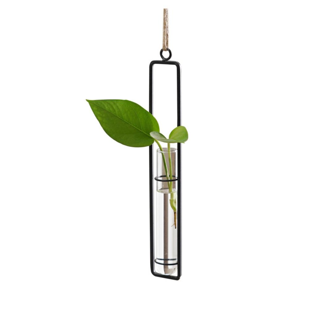 Wall Hanging Test Tube Vases Thickened Glass Vase Gardening Supplies Hanging Glass Planter  Garden