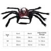 Realistic Cat Spider Outfit Skull Face Design Pet Spider Costume  for Prank Prop