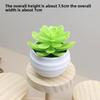 Plant Plastic Succulent Lotus Artificial Potted For Indoor Decoration And Gifts