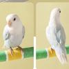 Wear-resistant Parrot Perching Station Rack Frosted Bird Teeth Chew Pole  Easy Installation