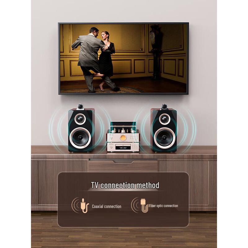 SANSUI N1 Tube Amplifier HiFi Audio System