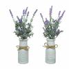 Decorative Plant In Lavender Pot (ø 13 X 32 Cm)