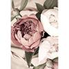 CHENISTORY Flower Coloring By Numbers Painting Set Acrylic Paints 40*50 Canvas Pictures Decorative Paintings Diy Crafts Gift