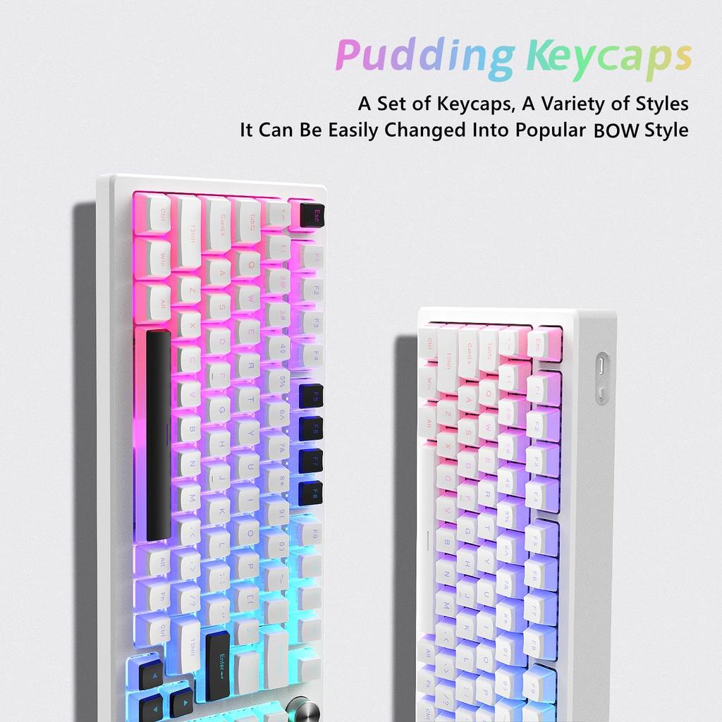 Womier Pudding PBT Tastenkappen 165er Tastensatz Benutzerdefinierter Tastenkappensatz OEM-Profil Universelle Kompatibilität für Tastaturen Weiße Tastenkappen, Durchscheindend 100%, 75%,