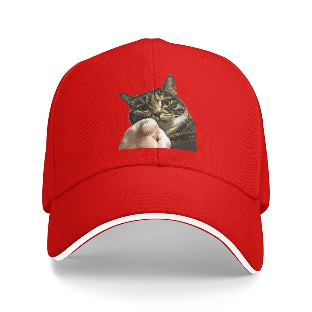 Meme Cat Baseball Cap Fashion Cartoon Anime Sandwich Caps Men Women Adjustable Caps Hat Sport