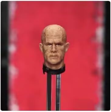 

Senkai Studio/Manipple Studio 1/12 Scale Figure SHF Modification Parts Set with Weapons