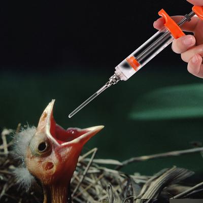 Pet Bird Pigeon Parrot Liquid Medicine Canary Feeder Push Tube Liquid Chick Feeder Silicone Push Tube Syringe