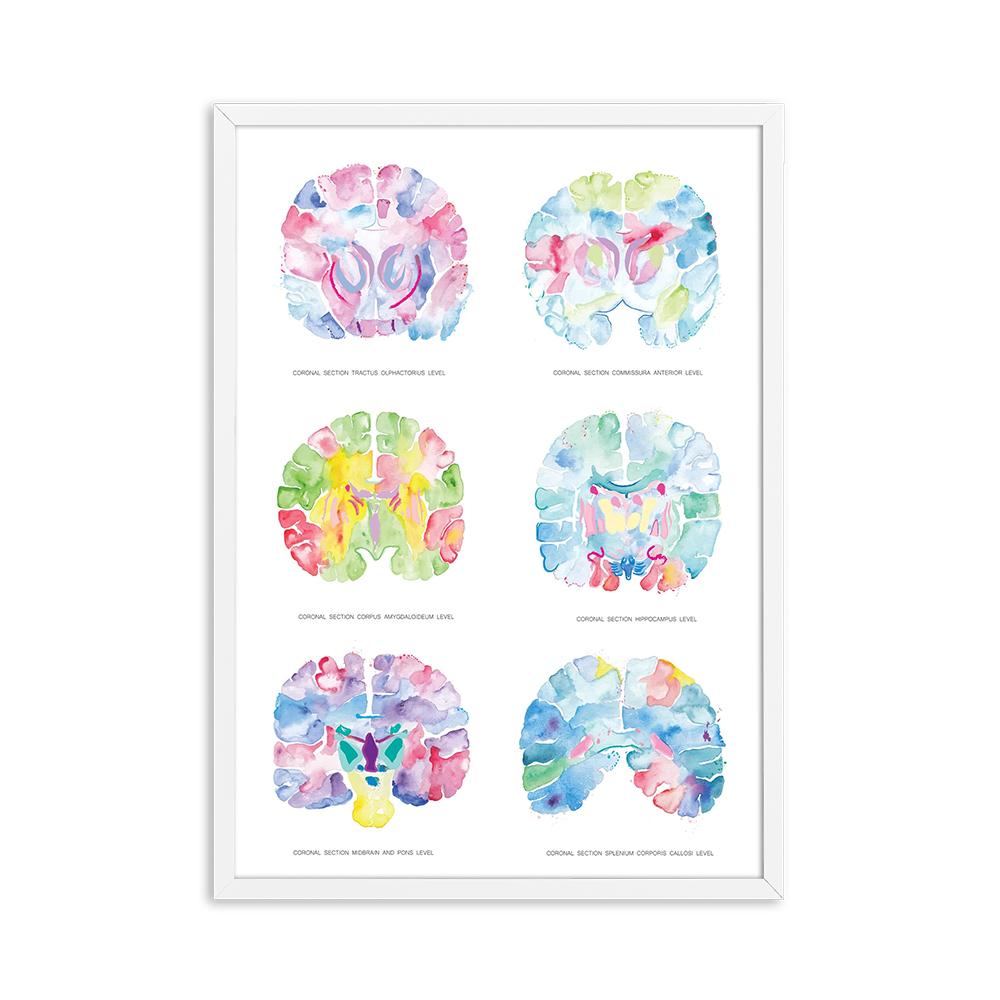 

Украшение позвоночника, скелет, принты на холсте и постеры, физиотерапевт, настенное искусство для рисования, настенные панно для комнаты хиропрактики 30x40cm No Framed