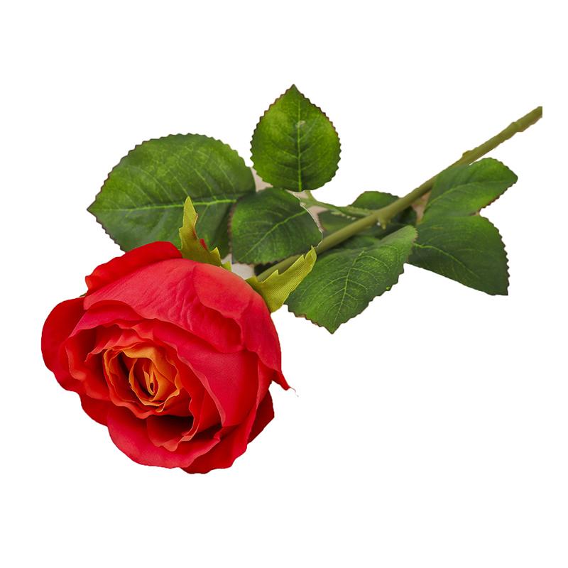 

C246# Пристрасна троянда Наклейка на стіну Ванна кімната Декор туалету Наклейки Вітальня Кабінет Домашня прикраса Самоклеюча фреска D-30x23.4cm-PET