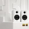 Edifier N300 Active Desktop 2.0 Speakers (CN Version)