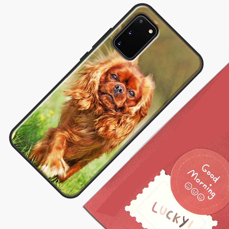 Cavalier King Charles Spaniel Dog Phone Case For Samsung Galaxy S26 S25 Ultra S20 S21 S22 S23 S24 S10 Plus S25 FE Cover Shell