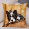 Cute Scottish Border Collie Pillowcase Dog Print Decor Pet Animal Cushion Cover Sofa