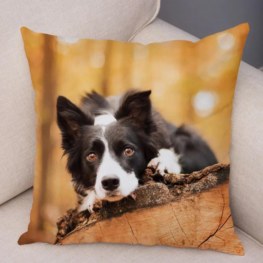 Cute Scottish Border Collie Pillowcase Dog Print Decor Pet Animal Cushion Cover Sofa